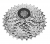 -000261137_p_l -000261137_p_l